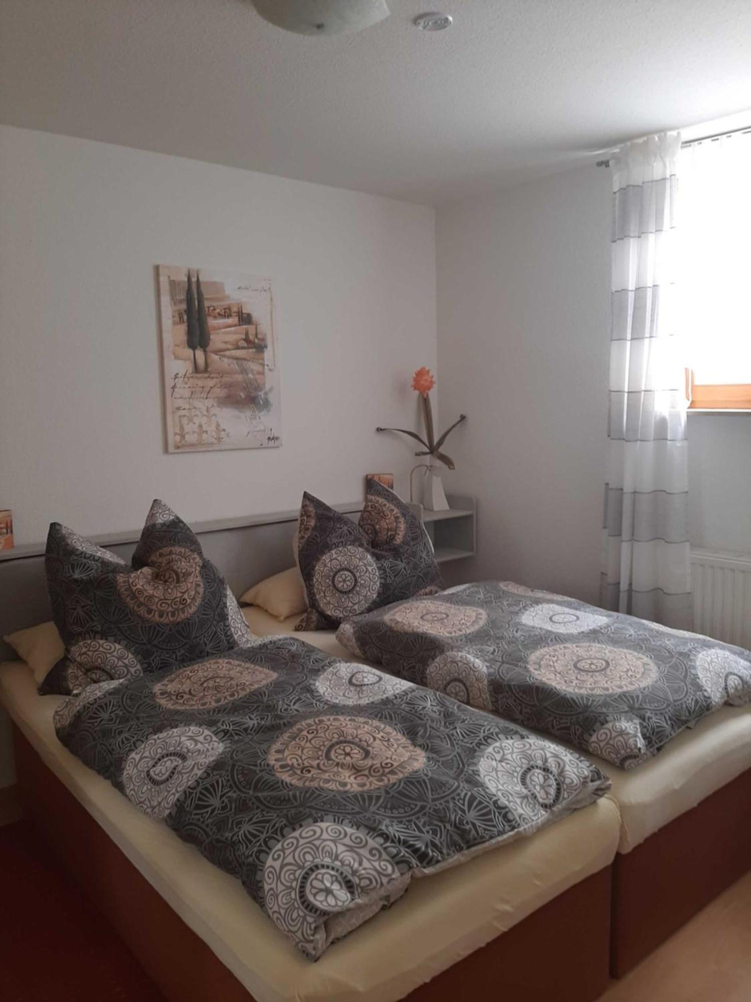 Ferienwohnung Am Suedhang 埃滕海姆 外观 照片